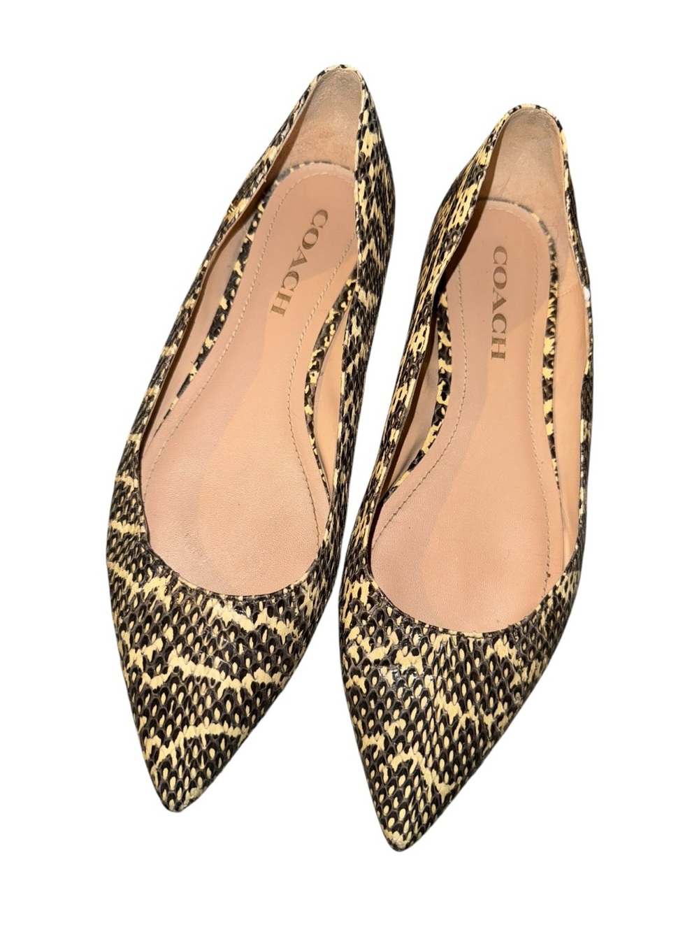 Coach Vierra Gorgeous designer Snake skin Pointed Flats , size 7.5